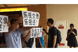 黄南融资清欠服务